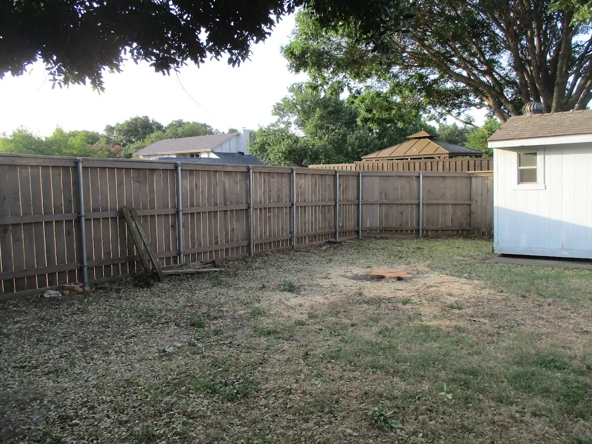 Cleared yard after professional tree removal in New Wilmington