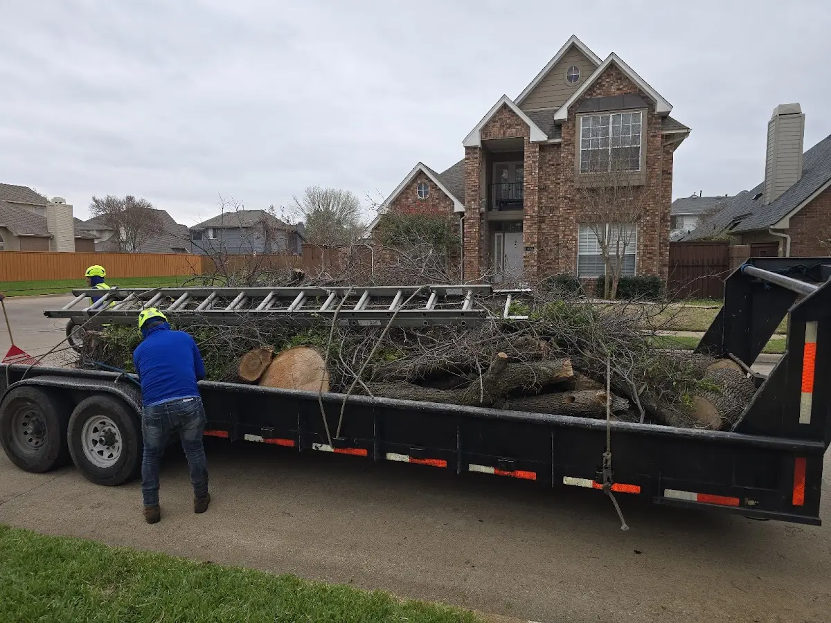 Expert Tree Pest Control with proper safety equipment in New Wilmington